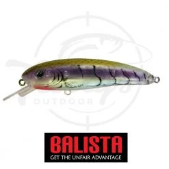 Balista Trigger Fishing 11 Balista Trigger Fishing