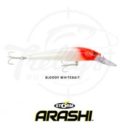 Storm ThunderBarra Hardbody Fishing Lure