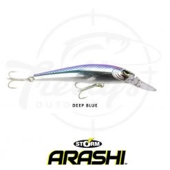 Storm ThunderBarra Hardbody Fishing Lure