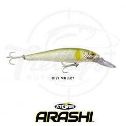 Storm ThunderBarra Hardbody Fishing Lure