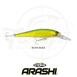 Storm ThunderBarra Hardbody Fishing Lure