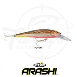 Storm ThunderBarra Hardbody Fishing Lure