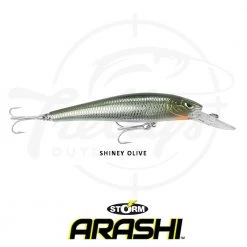 Storm ThunderBarra Hardbody Fishing Lure