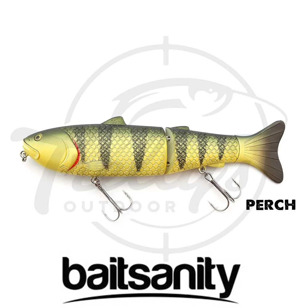 Baitsanity Antidote Glidebait Fishing Lure 1 Baitsanity Antidote Glidebait Fishing Lure