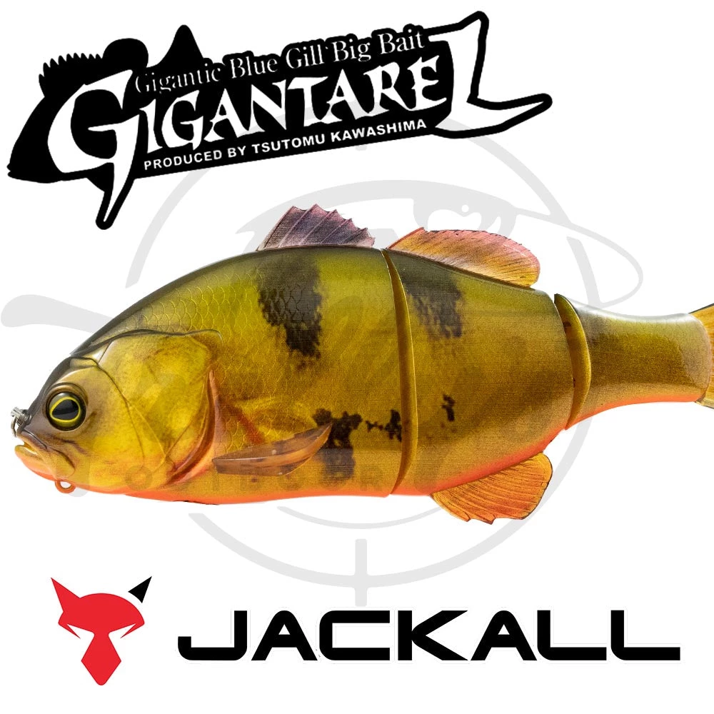 Jackall Gigantarel 8 Jackall Gigantarel