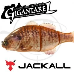 Jackall Gigantarel 31 Jackall Gigantarel