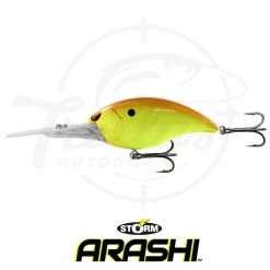 Storm Arashi Rattling Deep 25 Fishing